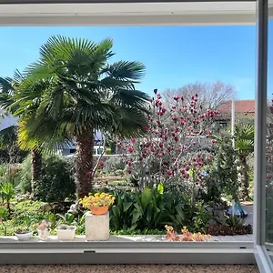  Apartment Summer Bloom